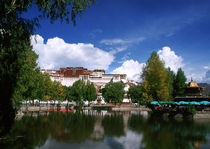 Tibet with reflection of lake von Danita Delimont