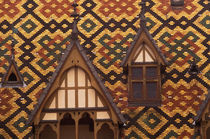 Tiled roofs of the Hotel Dieu by Danita Delimont