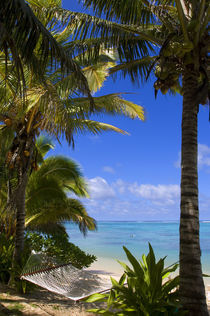 Palm lined beach Cook Islands von Danita Delimont