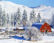 Barns in winter von Danita Delimont