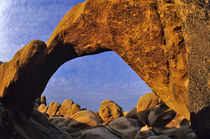Arch Rock at Joshua Tree National Park in California by Danita Delimont