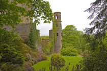 The infamous Blarney Castle hosts the Blarney Stone which is said to give you the gift of gab if you kiss the stone von Danita Delimont