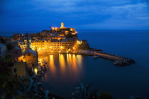 Night View of the Hillside Town of Vernazza von Danita Delimont