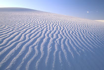 White sand dunes landscape von Danita Delimont
