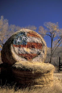 Patriotic hay roll with US flag; patriotism von Danita Delimont