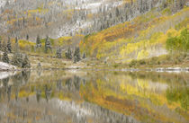 Fresh snow and aspen trees reflected in Maroon Lake by Danita Delimont