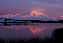 320') reflected in tundra pond at sunset von Danita Delimont