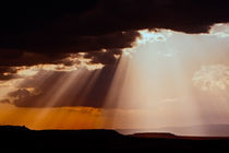 Sun setting on the Masai Mara by Danita Delimont