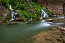 The Virgin River Narrows and Big Springs von Danita Delimont