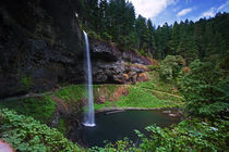 A view of South Falls in Silver Falls State Park in Oregon von Danita Delimont
