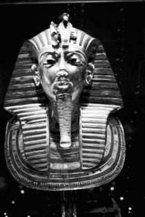 King Tut's Head von Danita Delimont