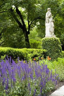 Royal Botanic Garden aka Real Jardin Botanico von Danita Delimont