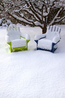 Snow Covered Adirondack Chairs von Danita Delimont