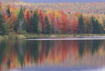 Mirror reflection of autumn colors von Danita Delimont