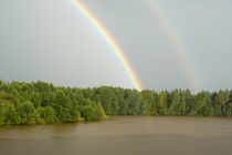 Double rainbow over the forest by Danita Delimont