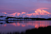 Denali in late evening alpenglow von Danita Delimont