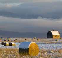 Rustic barn and hay bales after a fresh snow in the Mission Valley of Montana by Danita Delimont