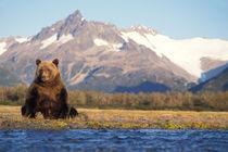 Katmai National Park on the Alaskan peninsula by Danita Delimont