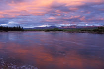 Yukon Territory by Danita Delimont