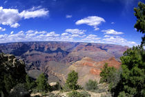 South Rim by Danita Delimont