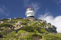 A lighthouse on the Cape Peninsula outside of Cape Town by Danita Delimont