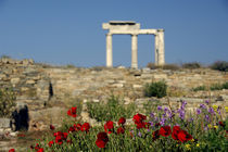 Column ruins von Danita Delimont