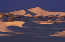 Mesquite Flat Sand Dunes von Danita Delimont