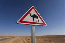 Camel crossing sign von Danita Delimont