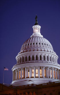 The capitol dome at dusk with the light on showing that congress is in session von Danita Delimont