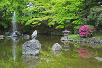 Heron in fresh green leaves von Danita Delimont