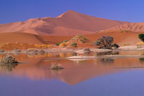 Sossusvlei Dunes von Danita Delimont