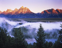 The Grand Tetons seen from the Snake River Overlook at dawn von Danita Delimont
