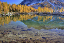 Reflected in Leprechaun Lake von Danita Delimont