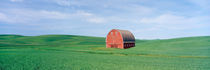 Red Barn in Spring Pea Field by Danita Delimont