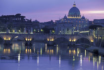Evening The Vatican by Danita Delimont