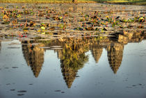 Reflection of temple ruins in pond by Danita Delimont