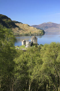 The famous Eilean Donan Castle von Danita Delimont