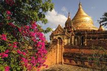 Myanmar (Burma) by Danita Delimont