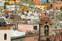 Templo de San Diego de Alcala Church / Dome and Town View by Danita Delimont