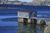 Fishing shack von Danita Delimont