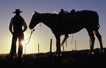 Cowboy and horse sillouette (MR) von Danita Delimont