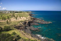 Ocean view from Albion Lighthouse von Danita Delimont