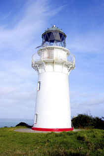 A lighthouse gives warning to ships approaching the eastern cape of New Zealand von Danita Delimont