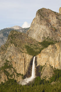 Bridalveil Falls by Danita Delimont