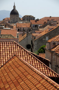 Colorful roof tops as seen from city wall by Danita Delimont