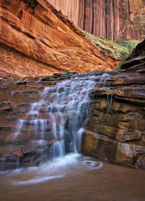 Waterfall in Coyote Gulch von Danita Delimont