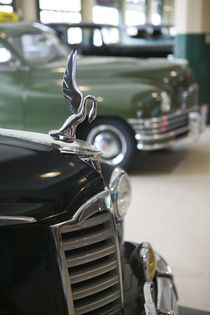 1940s Packard Hood Ornament by Danita Delimont