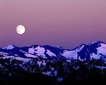 Moonrise from Hurricane Ridge in Olympic National Park von Danita Delimont
