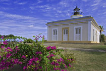View of Faro Punta Mulas lighthouse by Danita Delimont