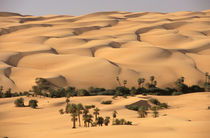 Ubari sand dunes von Danita Delimont